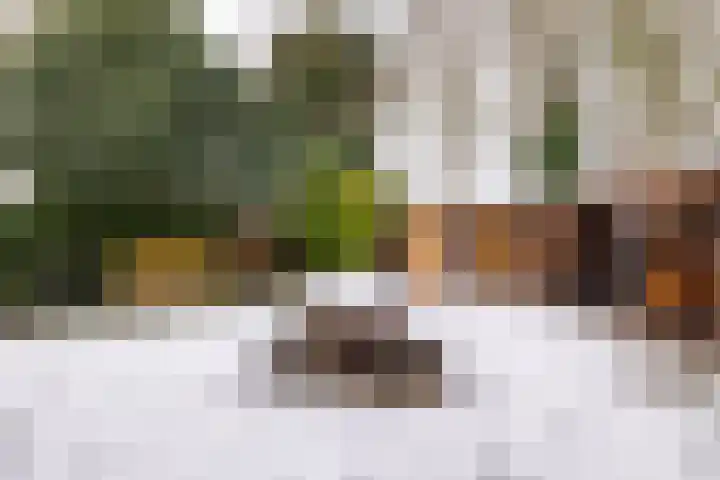 De Rietgans 9 Hoogeveen thumbnail 46