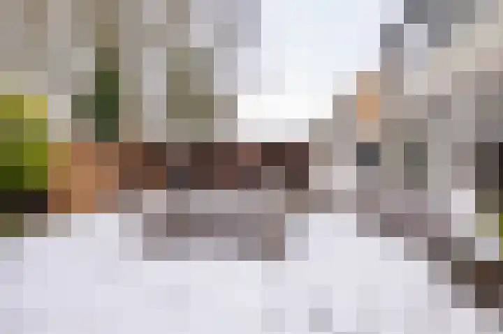 De Rietgans 9 Hoogeveen thumbnail 48