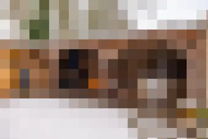 De Rietgans 9 Hoogeveen thumbnail 49