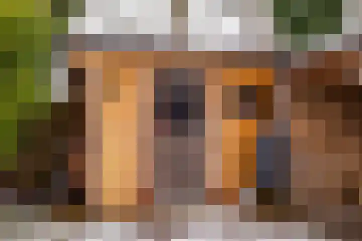 De Rietgans 9 Hoogeveen thumbnail 52