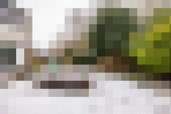 De Rietgans 9 Hoogeveen thumbnail 53