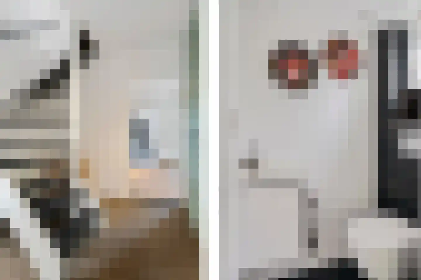 de Rietgors 5 Sneek thumbnail 11