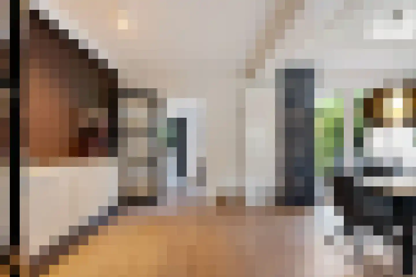 de Rietgors 5 Sneek thumbnail 13