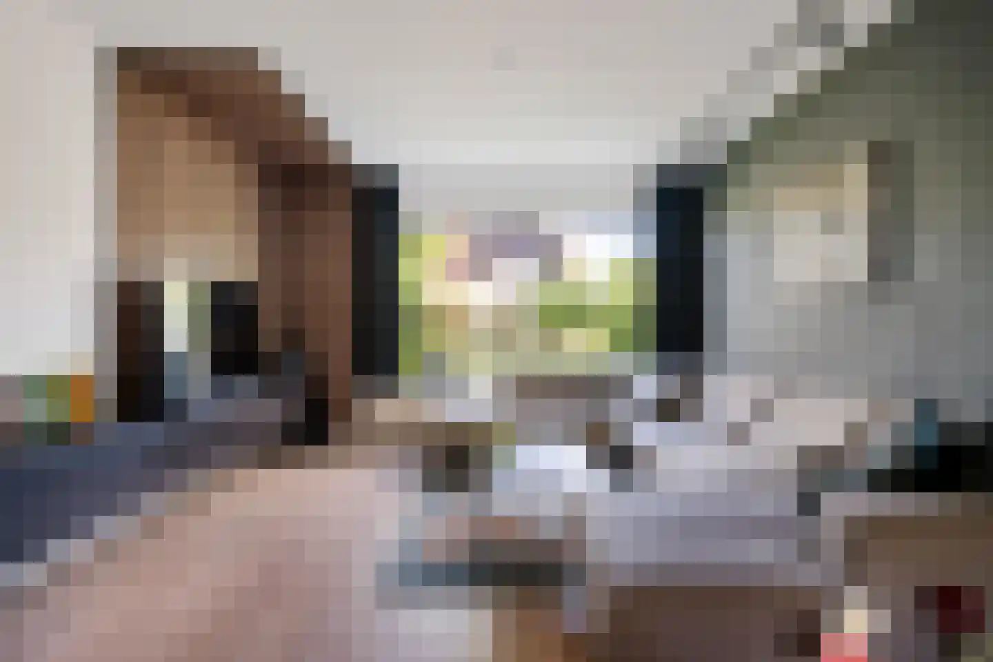 de Rietgors 5 Sneek thumbnail 17