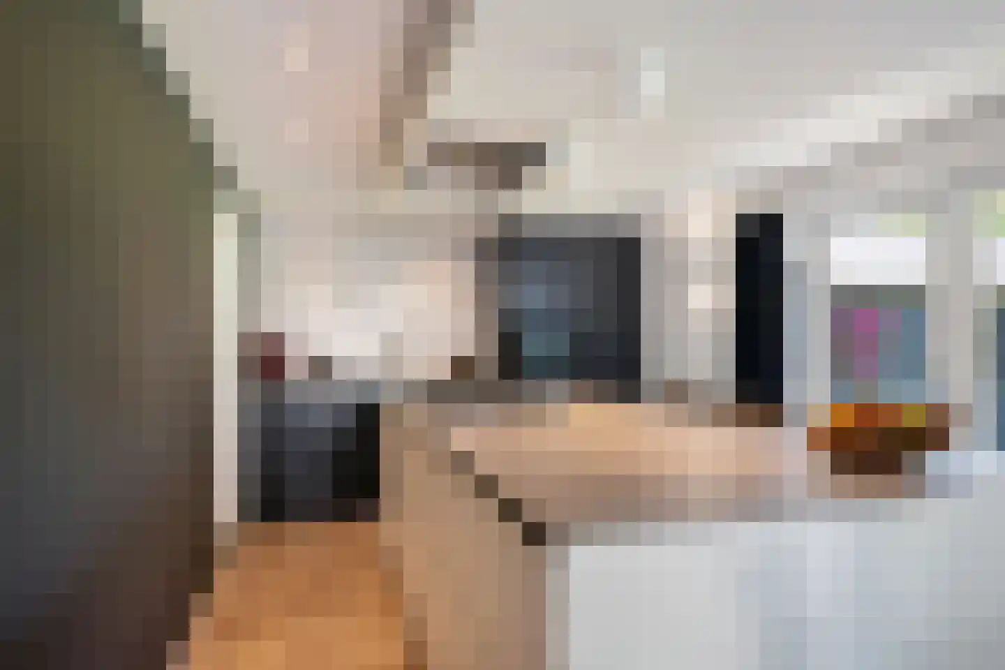 de Rietgors 5 Sneek thumbnail 18