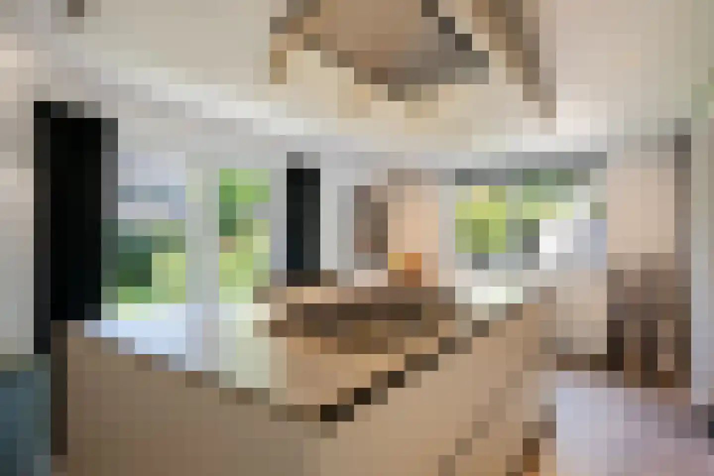 de Rietgors 5 Sneek thumbnail 21