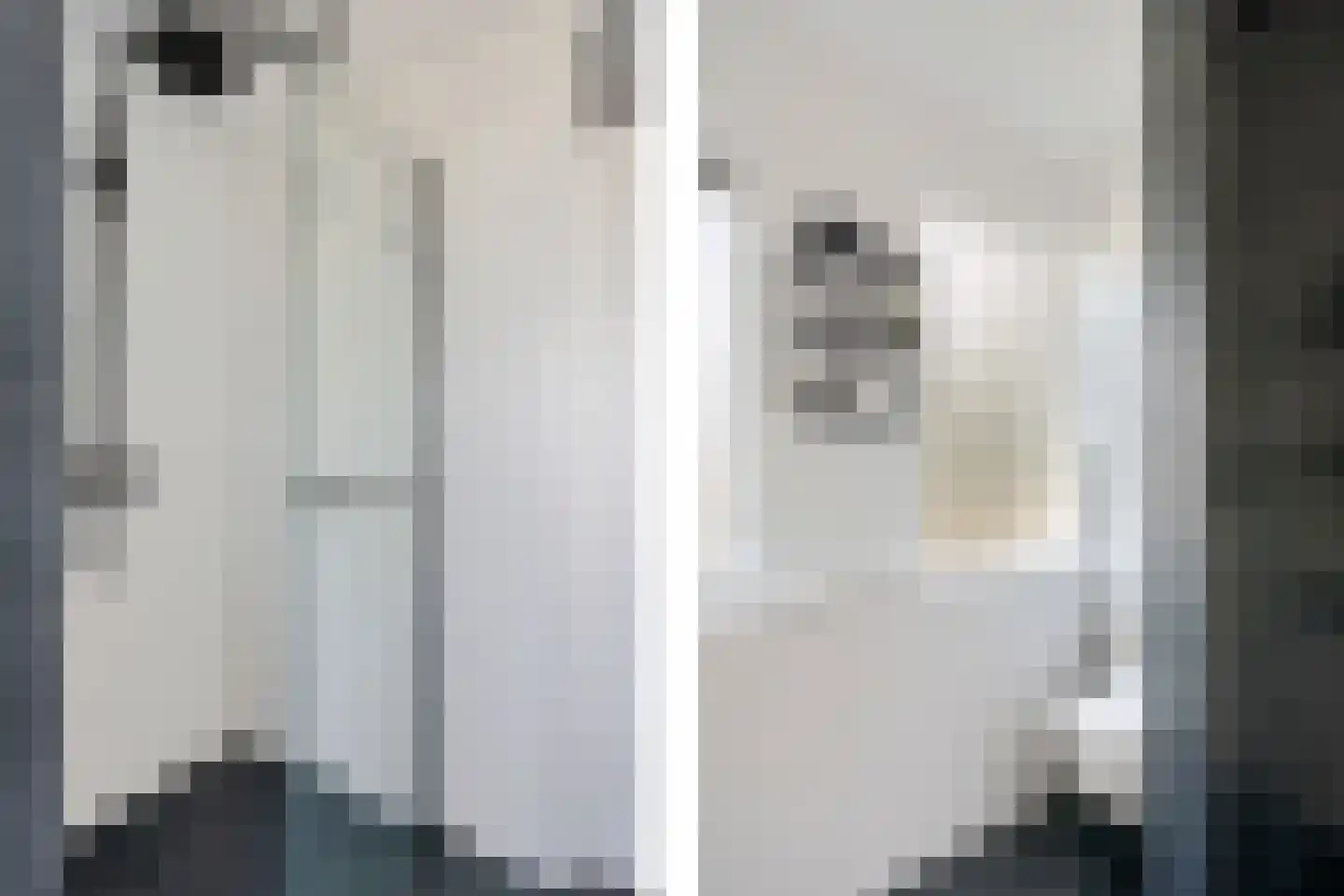 de Rietgors 5 Sneek thumbnail 32