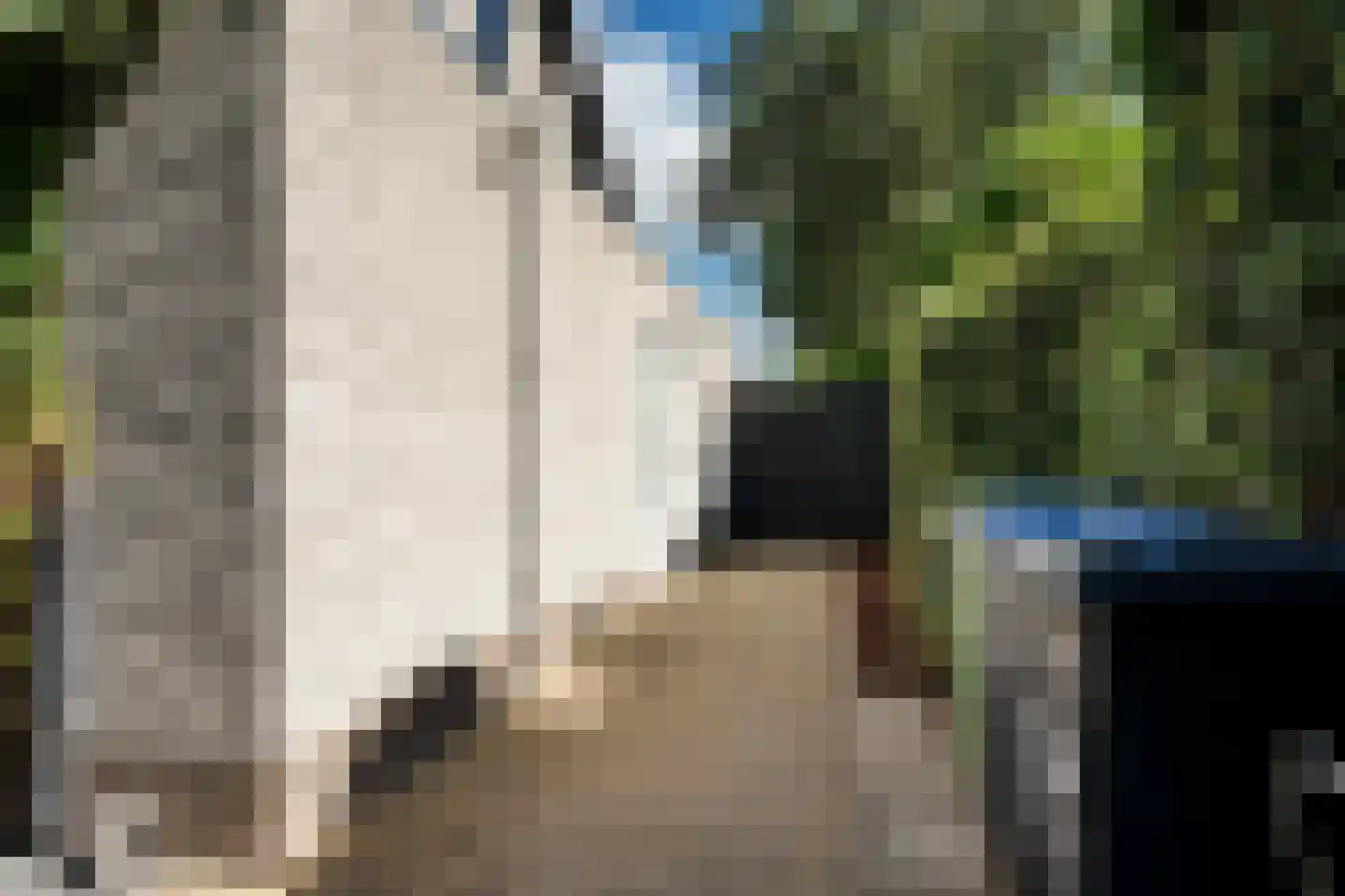 de Rietgors 5 Sneek thumbnail 38