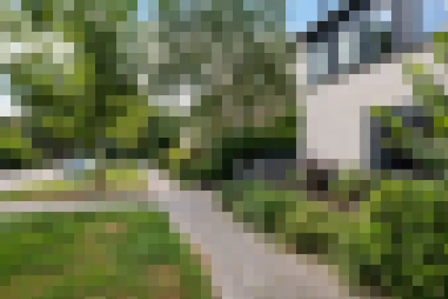 de Rietgors 5 Sneek thumbnail 5
