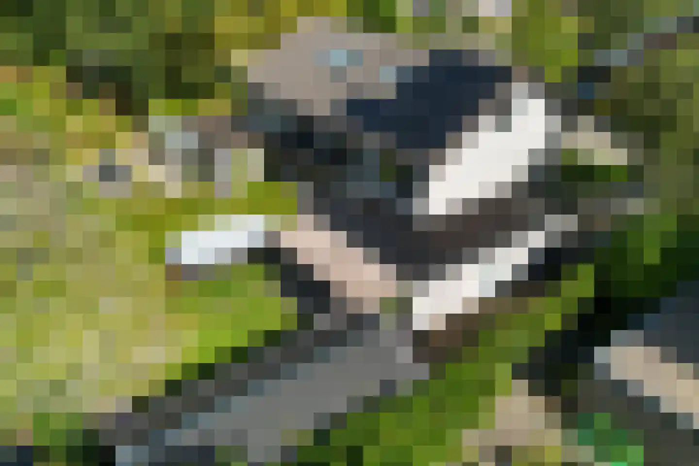 de Rietgors 5 Sneek thumbnail 50