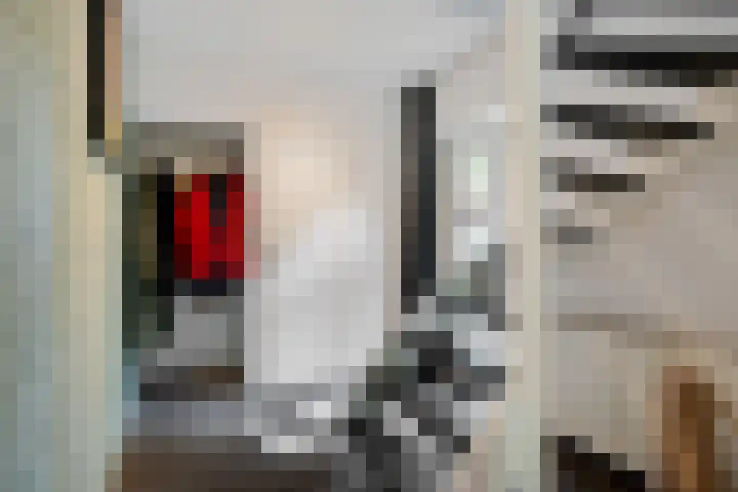 de Rietgors 5 Sneek thumbnail 9