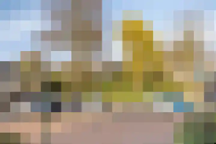 De Riethoek 68 Veenendaal thumbnail 18