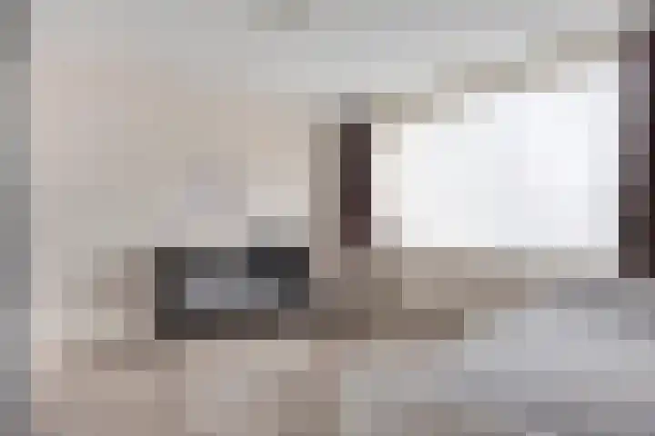 De Riethoek 68 Veenendaal thumbnail 19