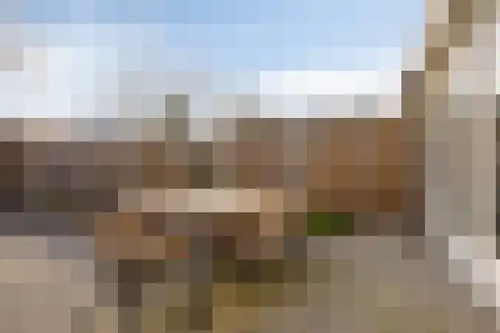 De Riethoek 68 Veenendaal thumbnail 33