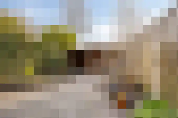 De Riethoek 68 Veenendaal thumbnail 34