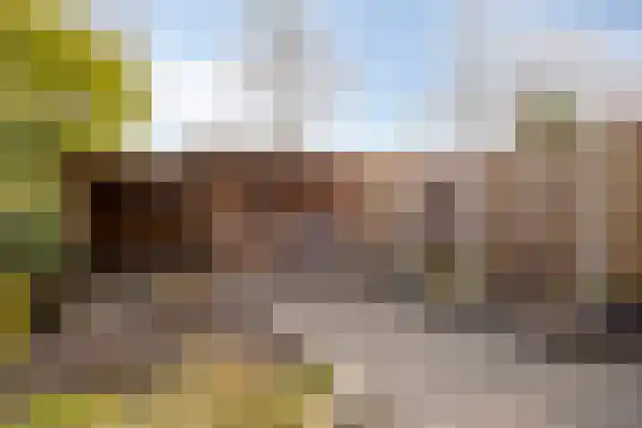 De Riethoek 68 Veenendaal thumbnail 35