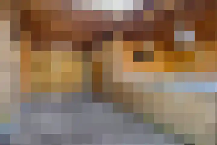 De Riethoek 68 Veenendaal thumbnail 37