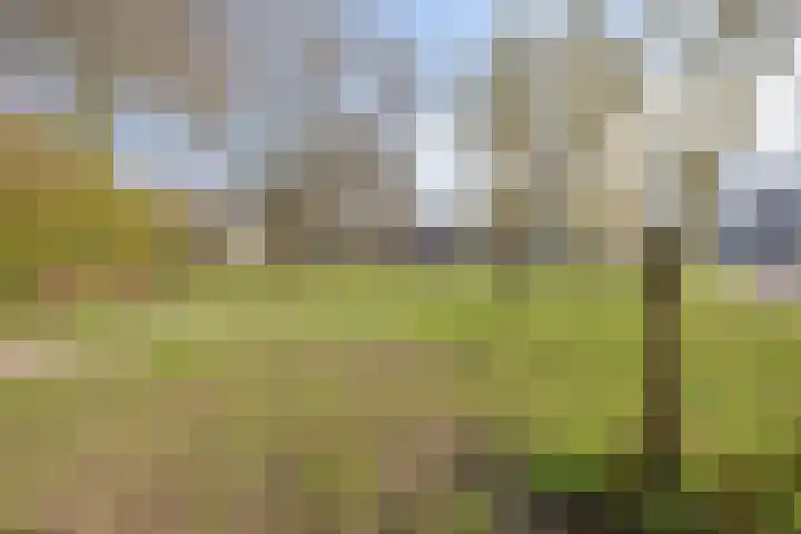 De Riethoek 68 Veenendaal thumbnail 39