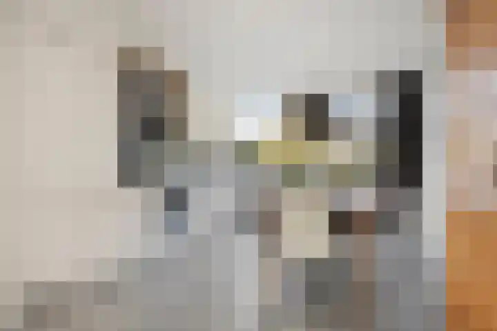 De Riethoek 68 Veenendaal thumbnail 4