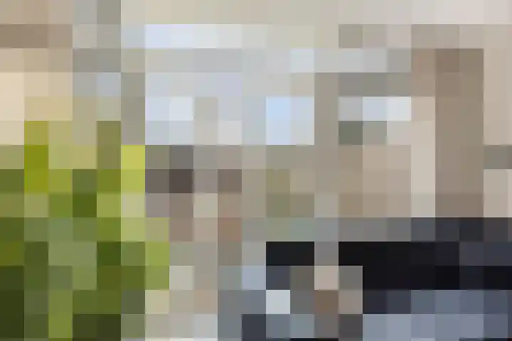 De Riethoek 68 Veenendaal thumbnail 9