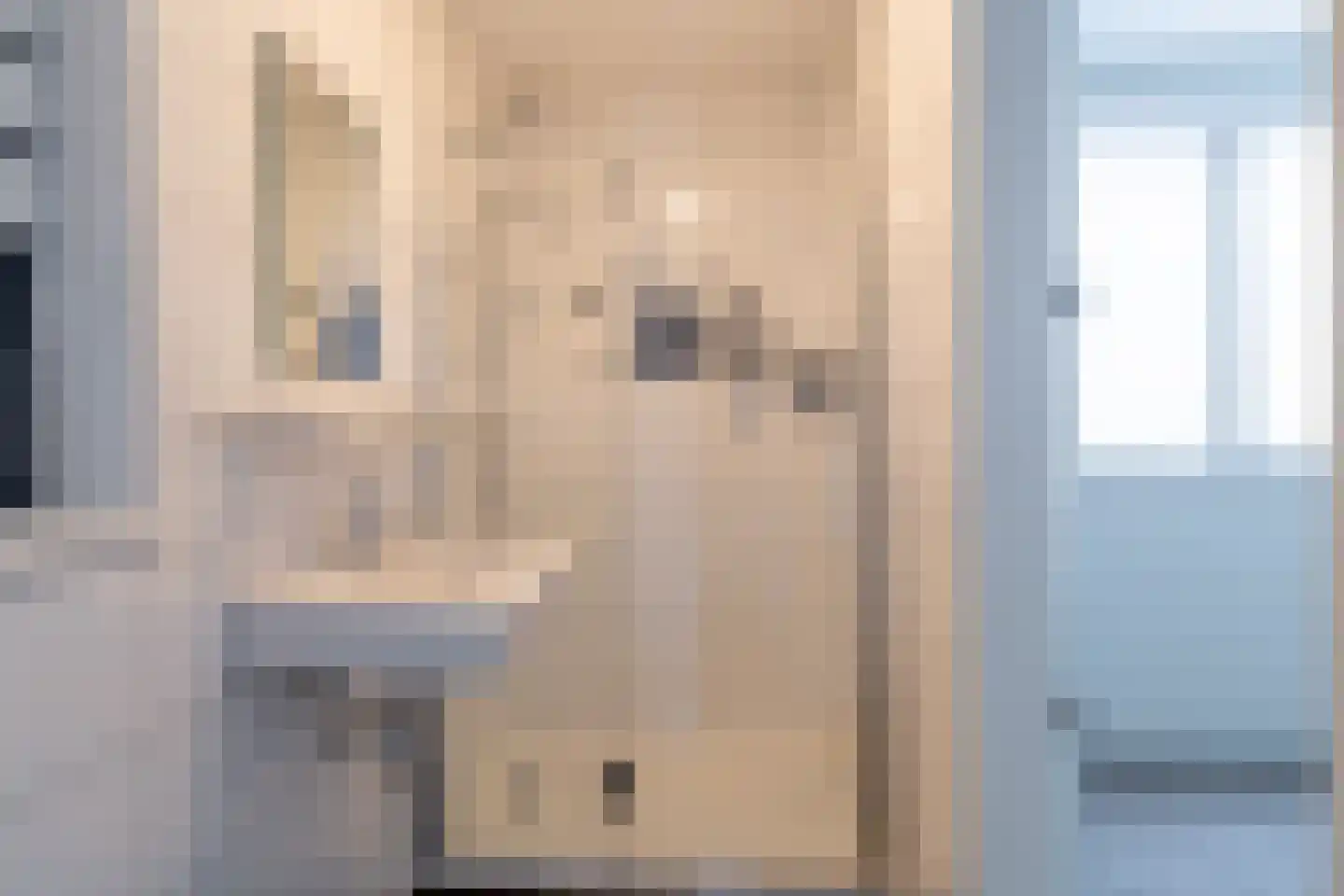 De Riethof 13 Giessen thumbnail 17