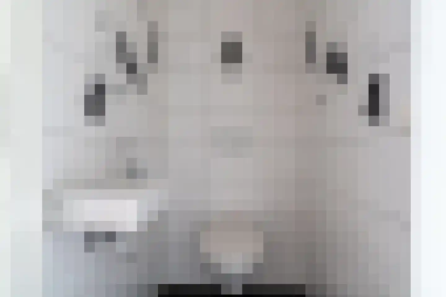 De Riethof 13 Giessen thumbnail 6