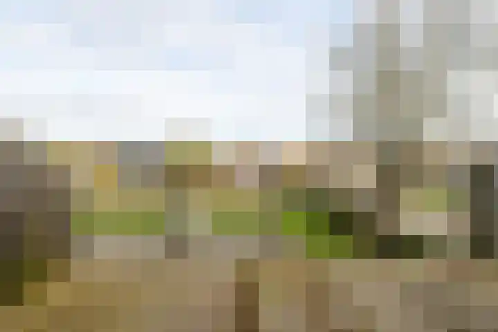 De Riethof 35 Giessen thumbnail 10