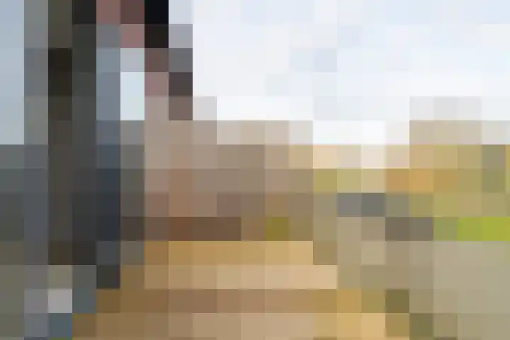 De Riethof 35 Giessen thumbnail 11
