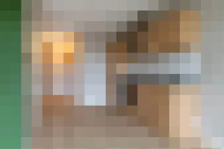 De Riethof 35 Giessen thumbnail 12