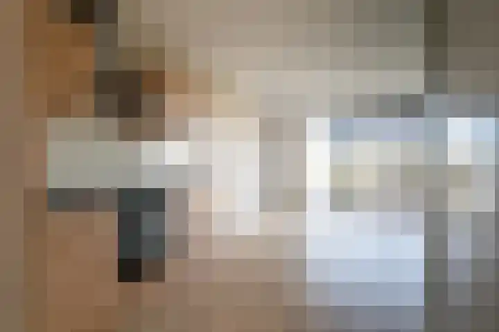 De Riethof 35 Giessen thumbnail 13