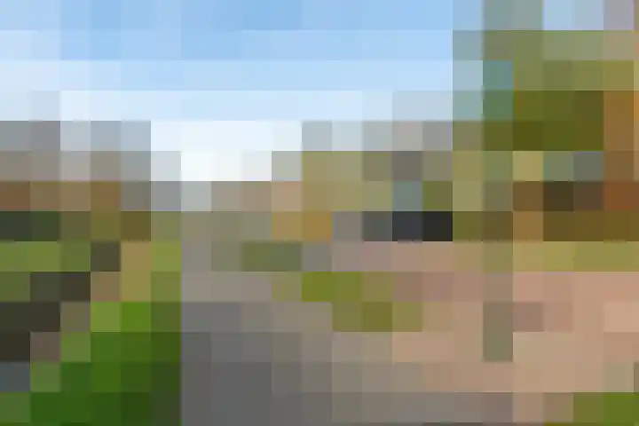De Riethof 35 Giessen thumbnail 26