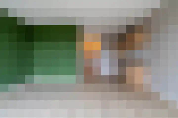 De Riethof 35 Giessen thumbnail 9