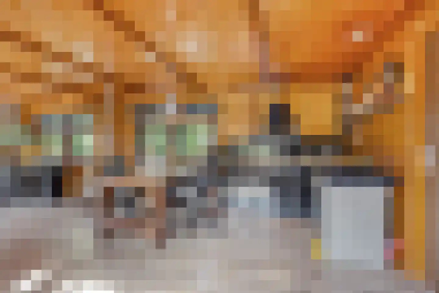 De Rietlanden 1 f Giethoorn thumbnail 11