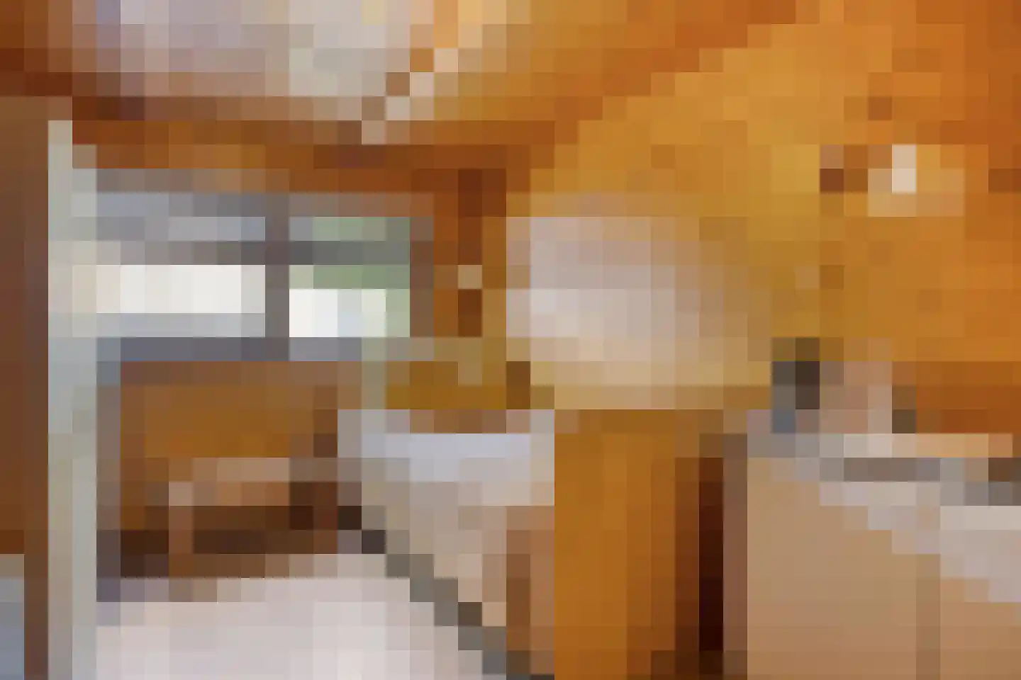 De Rietlanden 1 f Giethoorn thumbnail 16