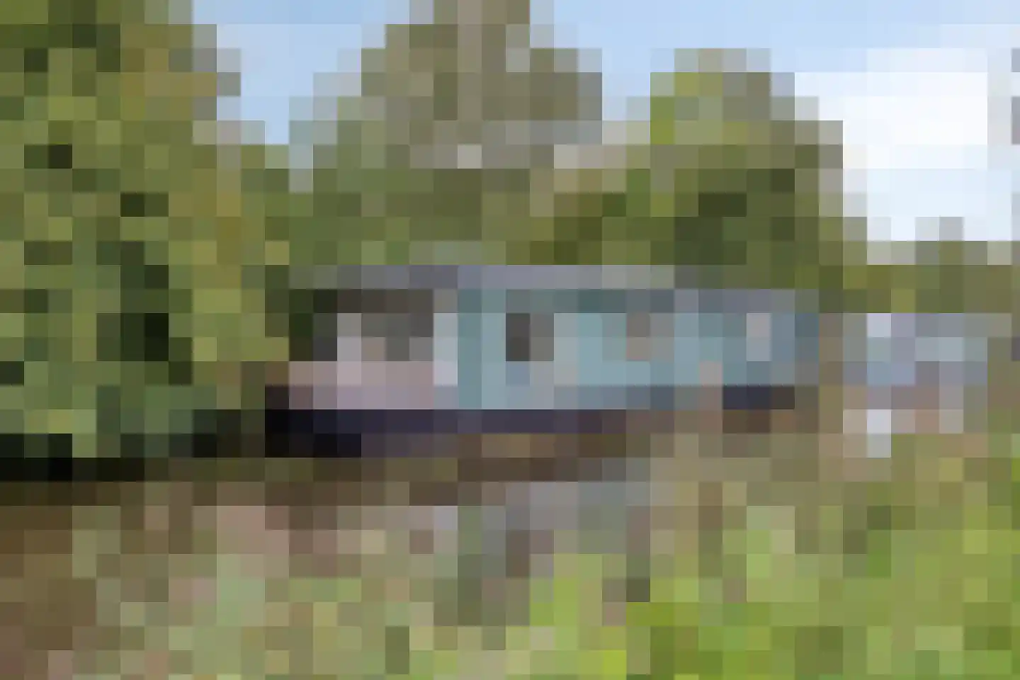 De Rietlanden 1 f Giethoorn foto 2