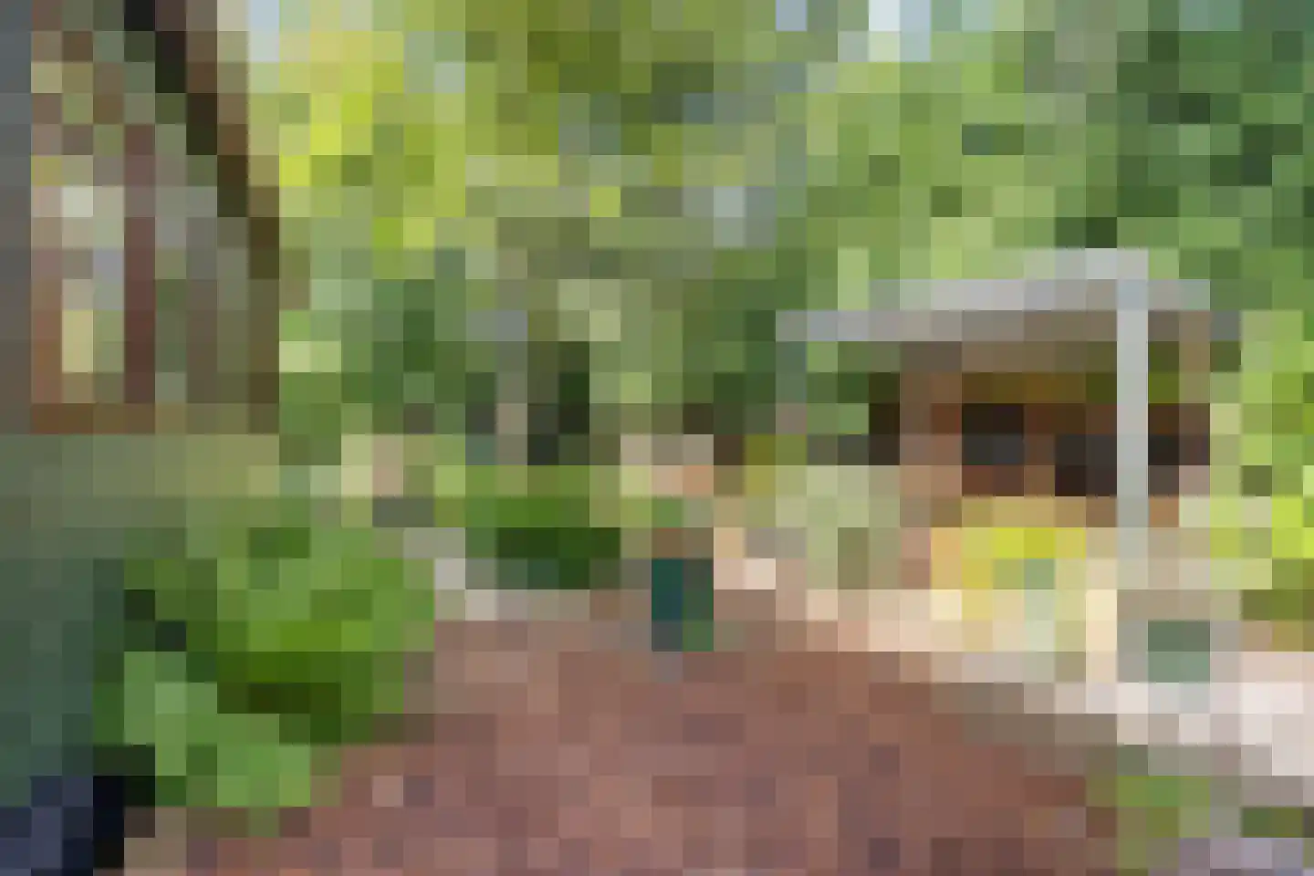 De Rietlanden 1 f Giethoorn thumbnail 25