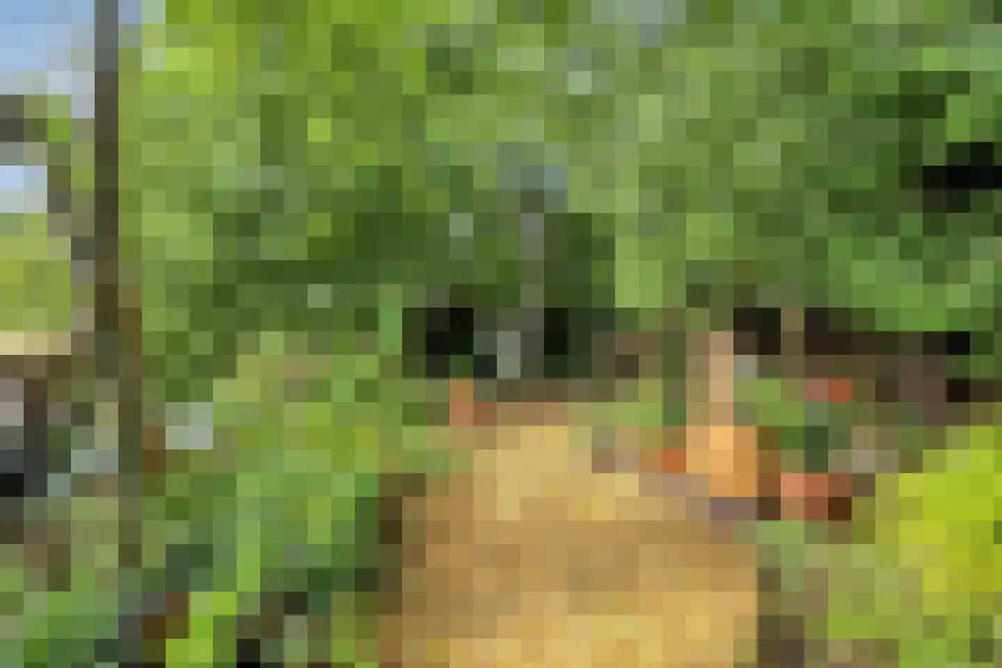 De Rietlanden 1 f Giethoorn thumbnail 26