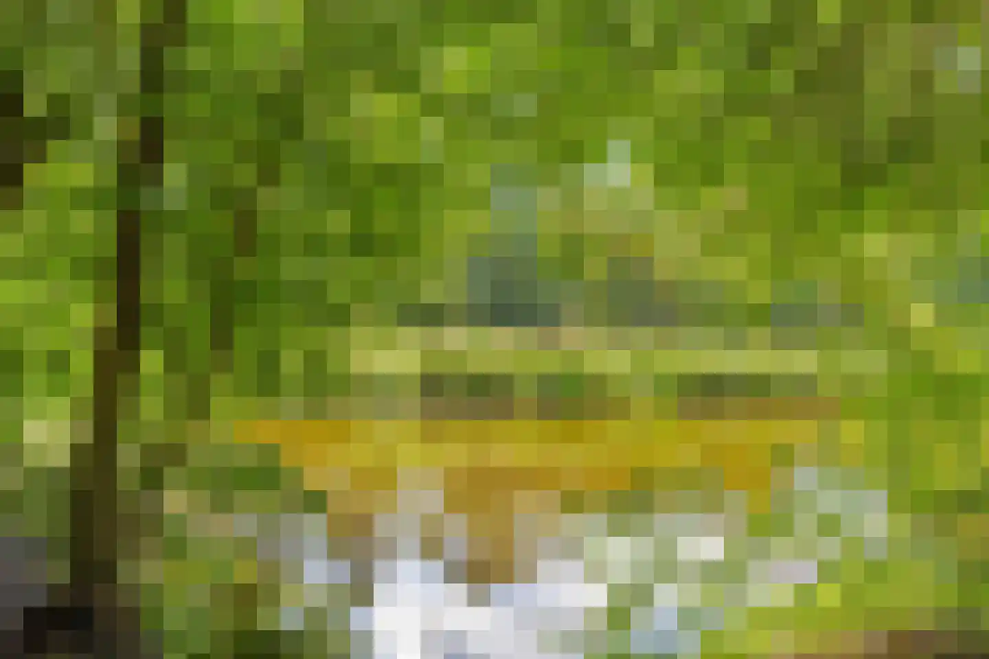 De Rietlanden 1 f Giethoorn thumbnail 27