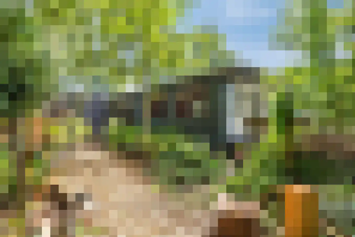 De Rietlanden 1 f Giethoorn thumbnail 28