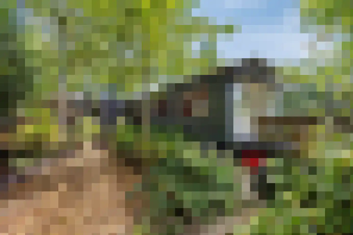 De Rietlanden 1 f Giethoorn thumbnail 29
