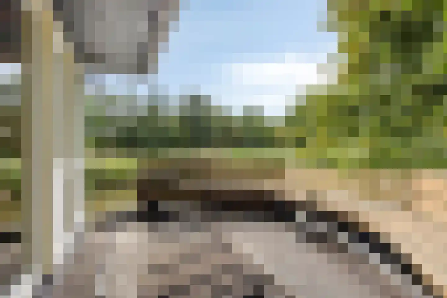De Rietlanden 1 f Giethoorn thumbnail 30