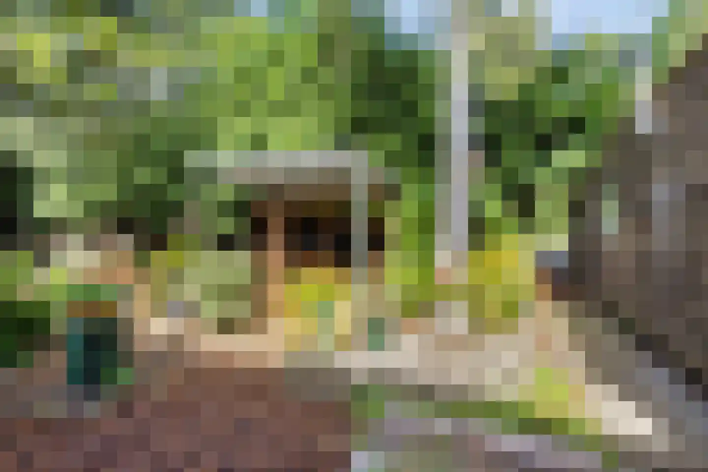 De Rietlanden 1 f Giethoorn thumbnail 33