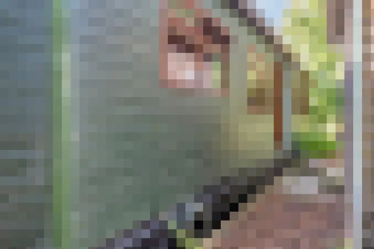 De Rietlanden 1 f Giethoorn thumbnail 36