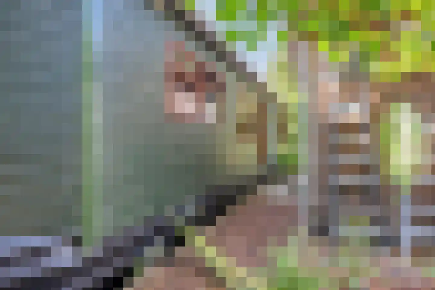 De Rietlanden 1 f Giethoorn thumbnail 37