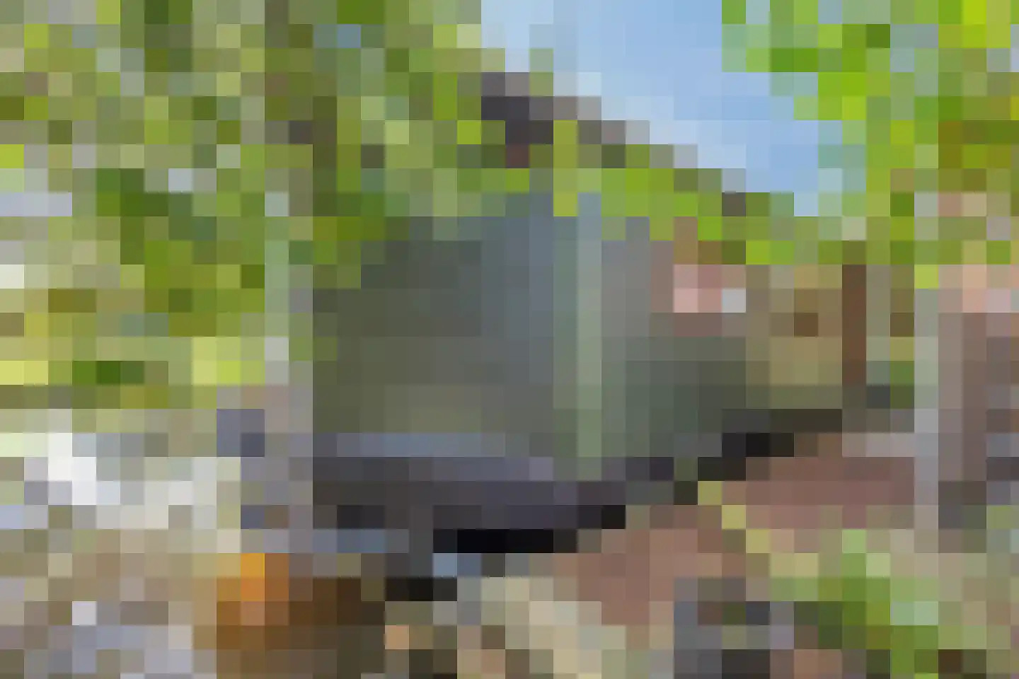 De Rietlanden 1 f Giethoorn thumbnail 38