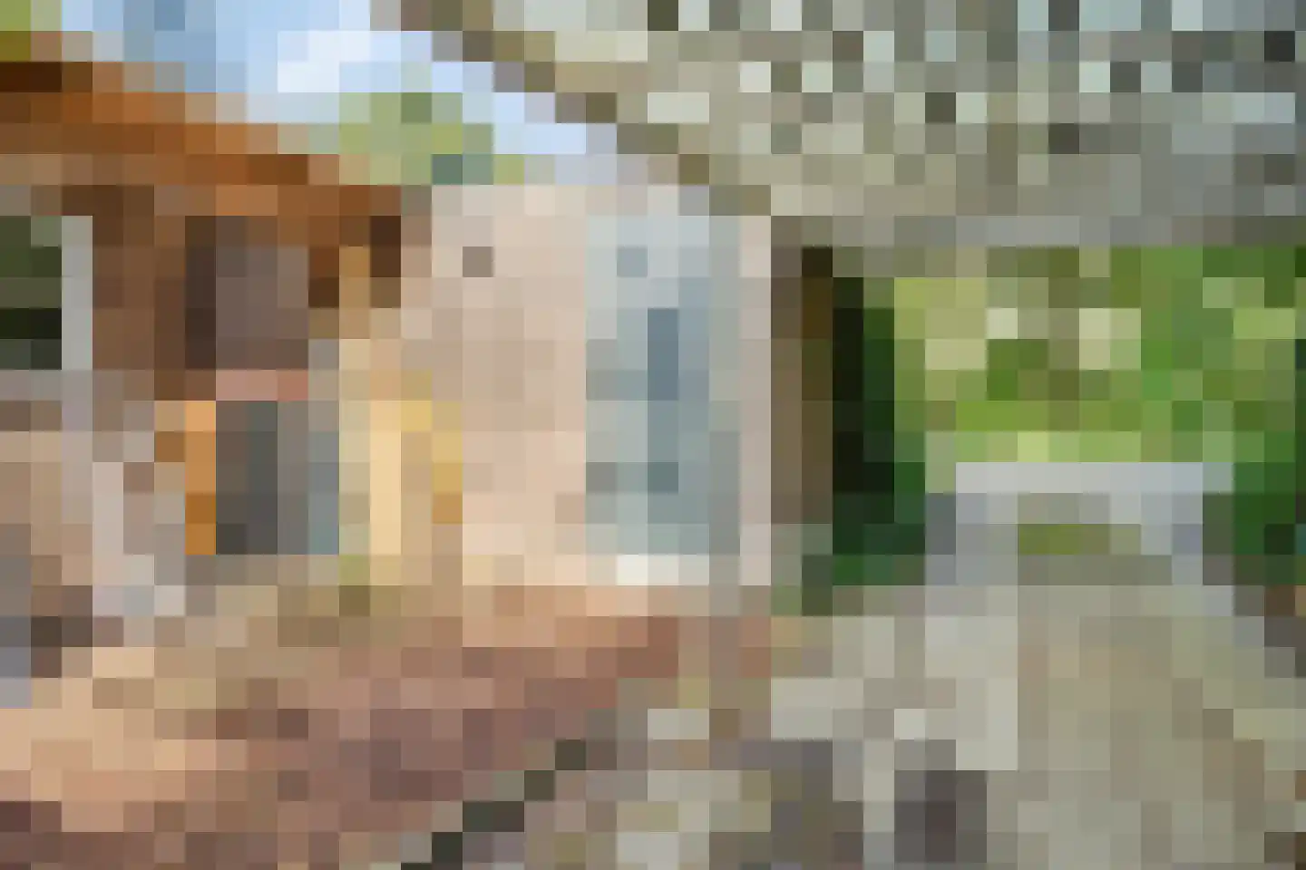 De Rietlanden 1 f Giethoorn thumbnail 39