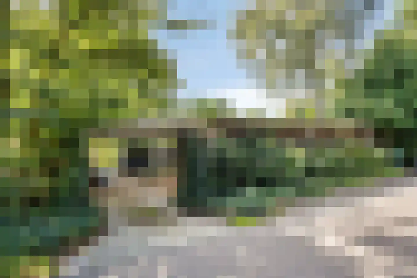 De Rietlanden 1 f Giethoorn thumbnail 41