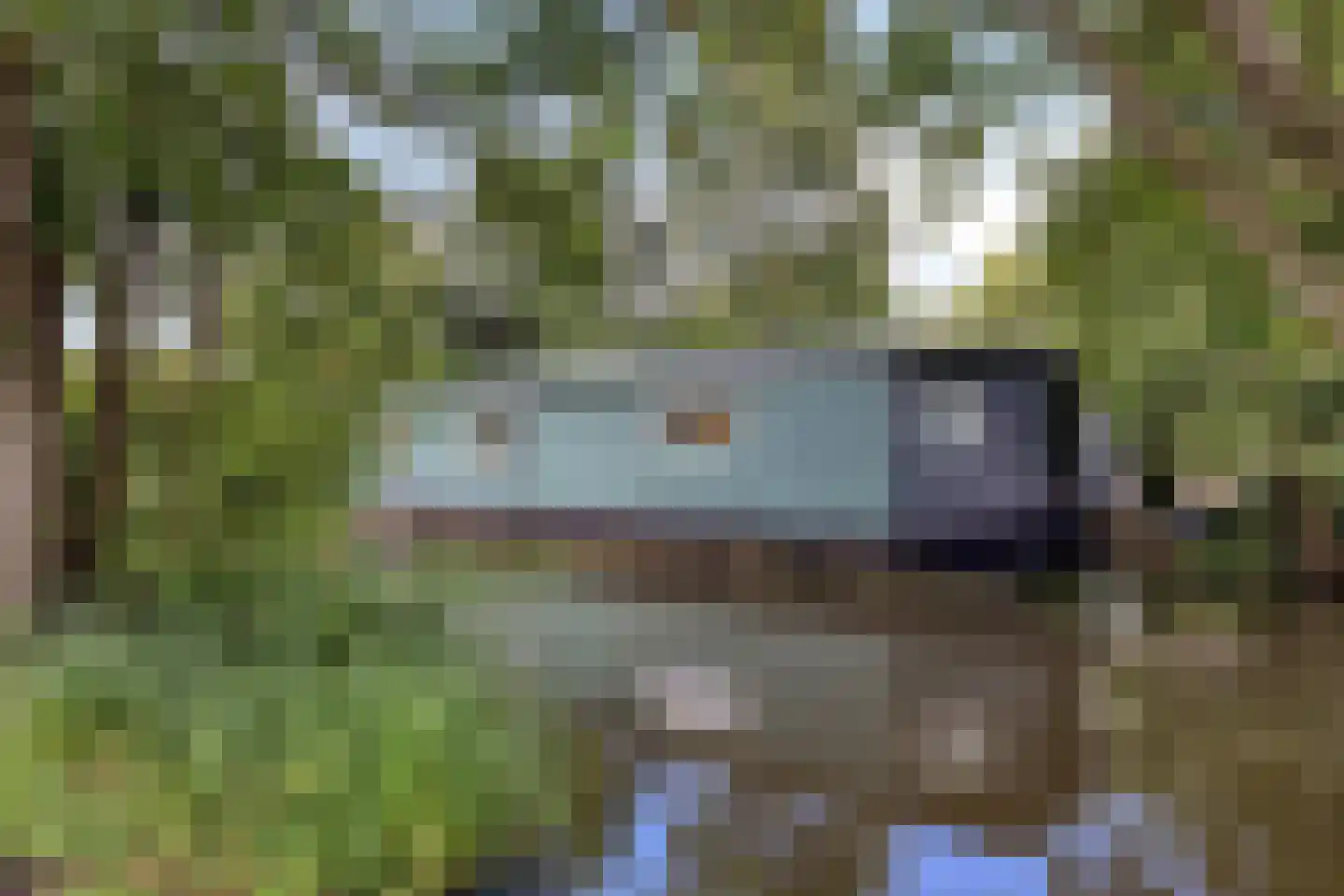 De Rietlanden 1 f Giethoorn thumbnail 48