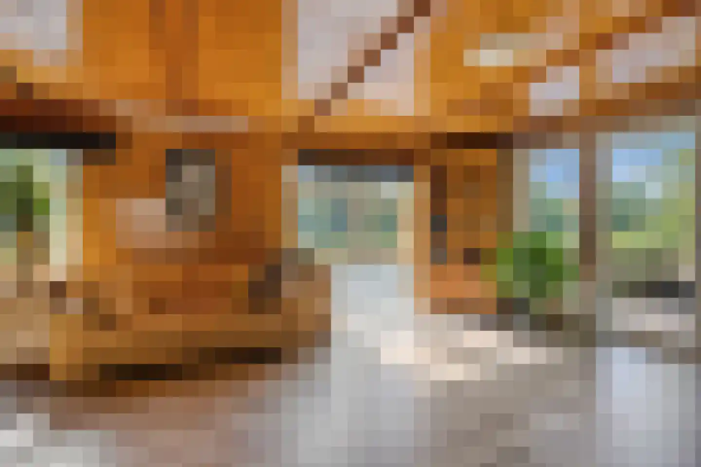 De Rietlanden 1 f Giethoorn thumbnail 5