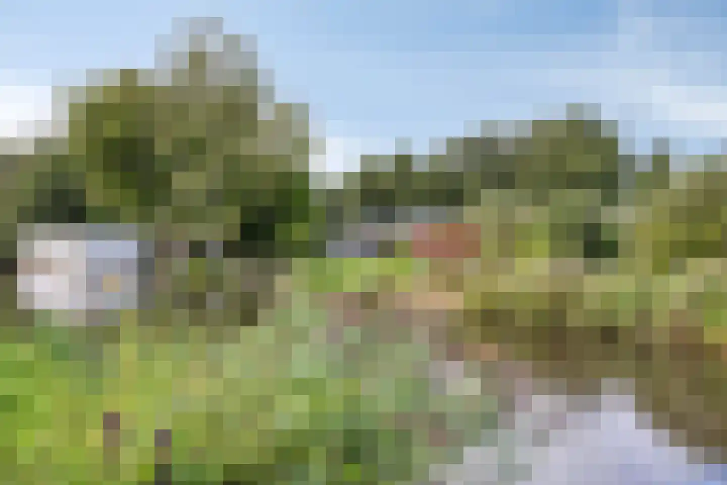 De Rietlanden 1 f Giethoorn thumbnail 50